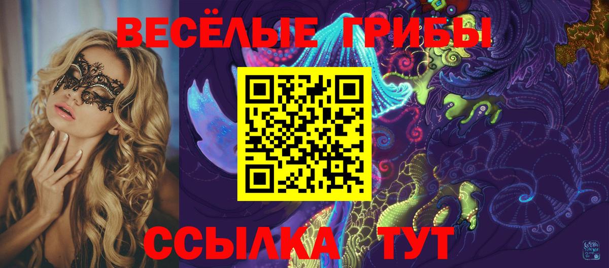 Галлюциногенные грибы прущие грибы  Вход с VPN  Касимов 