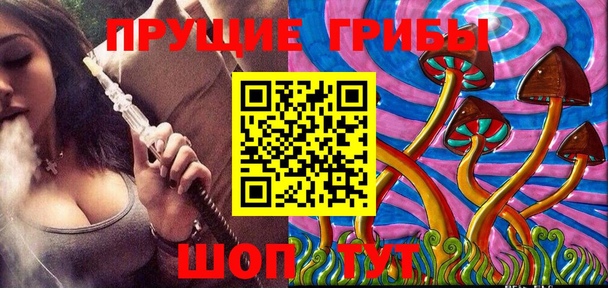 Галлюциногенные грибы Cubensis Касимов